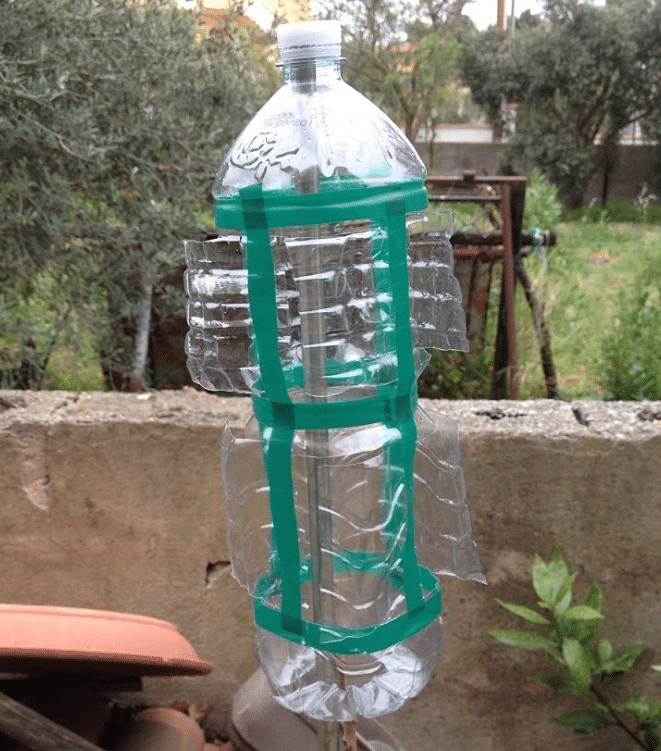 Bottiglia - Bottiglia di plastica
